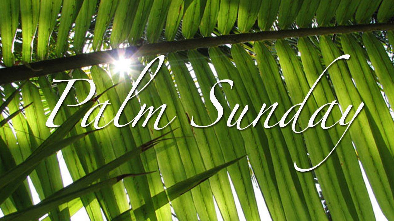 Palm Sunday Celebration