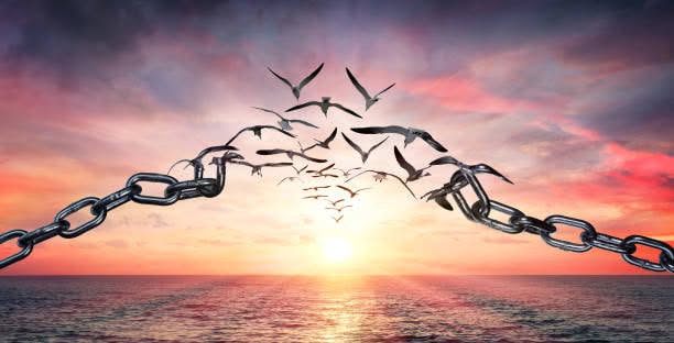 What Does It Mean To Be Truly Free?