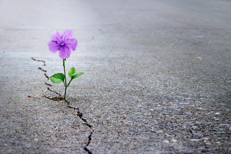 Where Do You Find Hope?